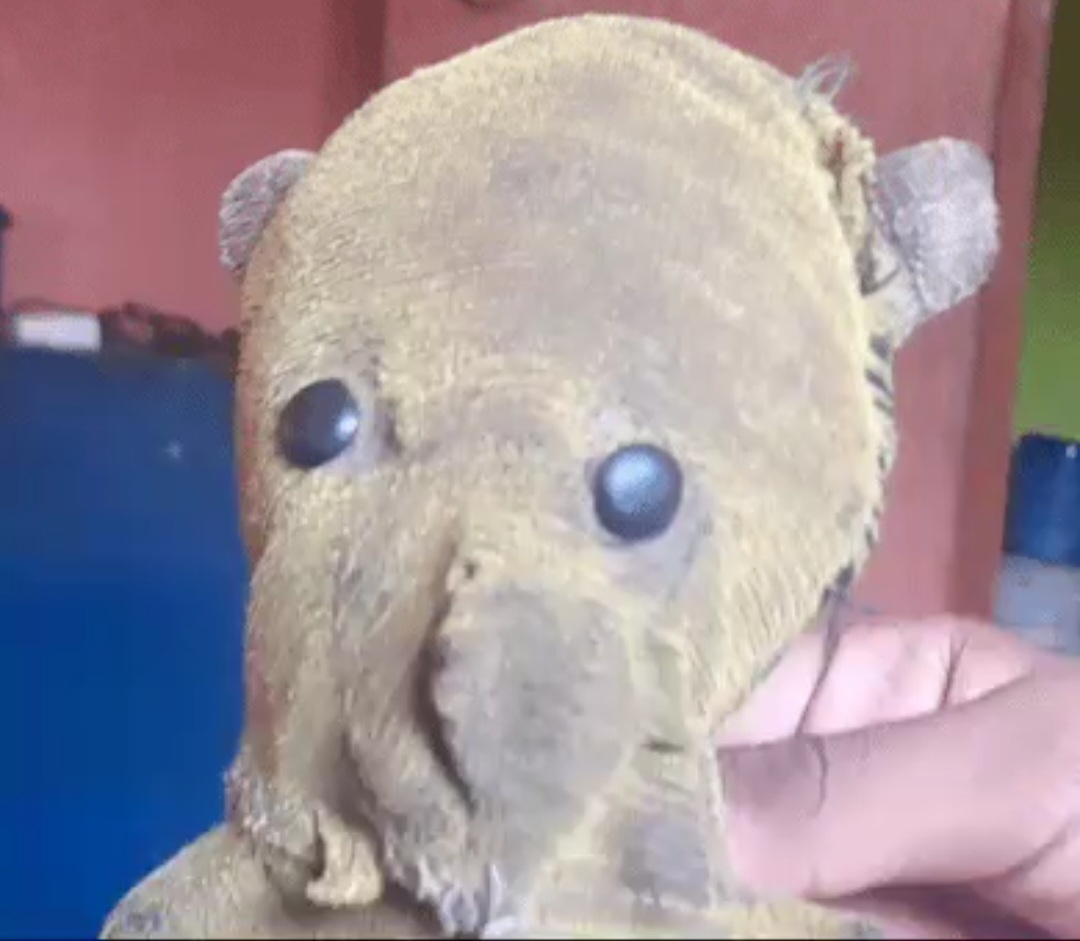 Voda